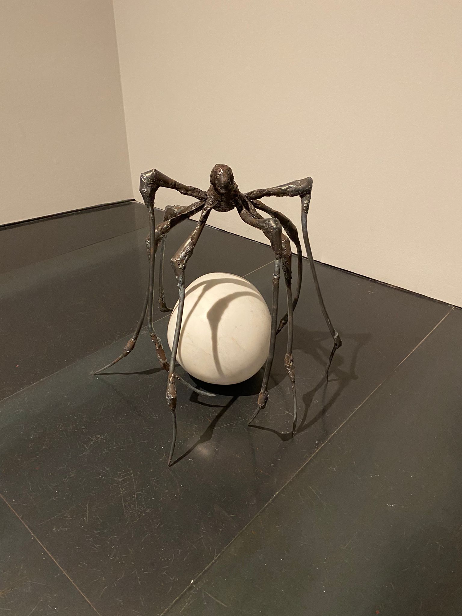 10 mostre da vedere a Firenze a ottobre 2024